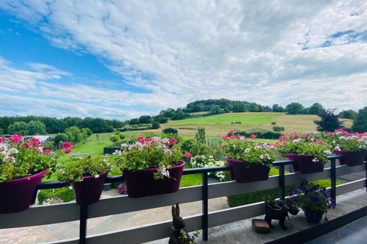Panorama Sousberg Appartementen Schin op Geul Zewnętrze zdjęcie